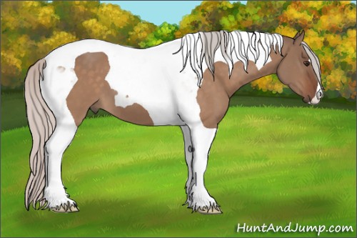 Horse Color:Silver Brown Dun Tobiano 