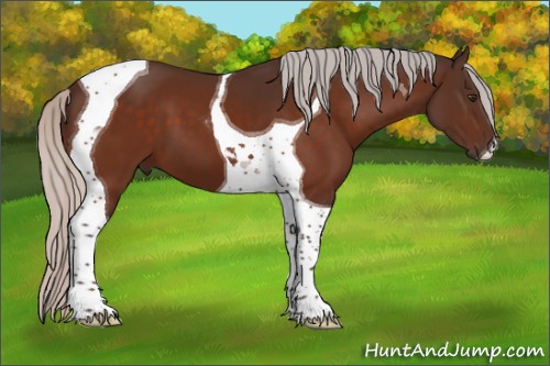 Horse Color:Silver Brown Tobiano 
