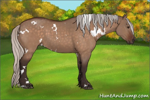 Horse Color:White Spotted Silver Brown Dun 