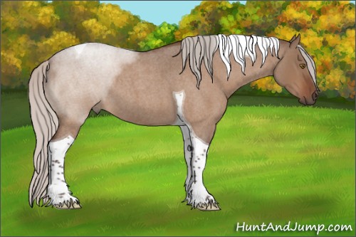 Horse Color:Silver Bay Roan Dun Tobiano 