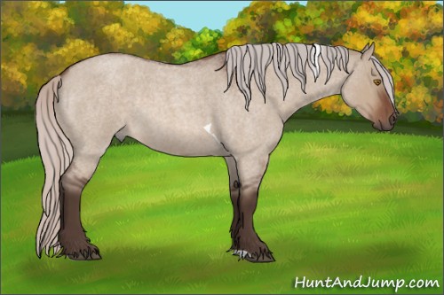 Horse Color:Silver Brown Roan Dun Tobiano 