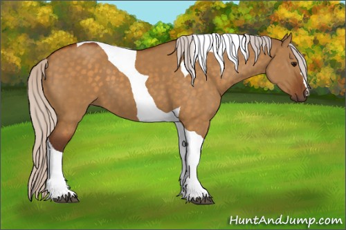 Horse Color:Silver Buckskin Dun Tobiano 