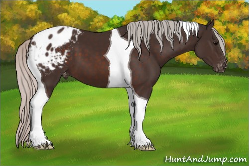 Horse Color:Silver Brown Tobiano Blanket 