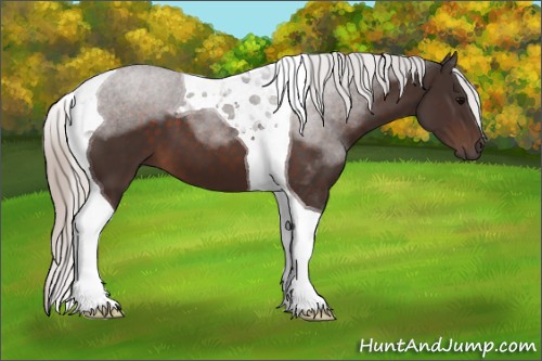 Horse Color:Silver Brown Tobiano 