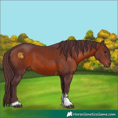 Horse Color:Chocolate Brown Sabino Tobiano Rabicano 