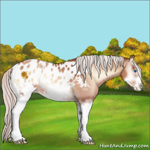 Horse Color:White Spotted Silver Classic Champagne Onyx Frame Appaloosa 