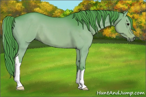 Horse Color:Watercolor Smoky Grullo 