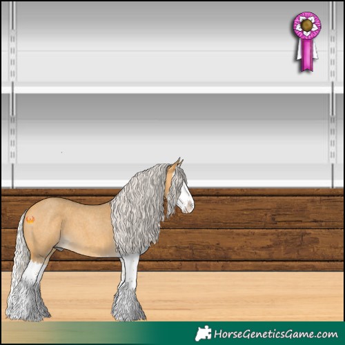 Horse Color:Silver Buckskin Roan Splash 