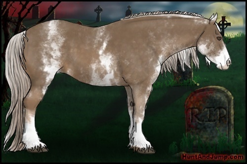 Horse Color:White Spotted Chocolate Palomino