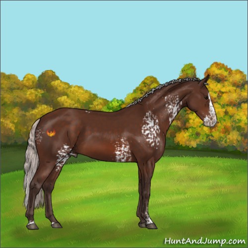 Horse Color:White Spotted Silver Brown Splash Rabicano 