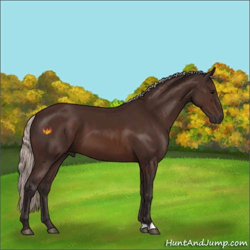 Horse Color:Silver Brown 