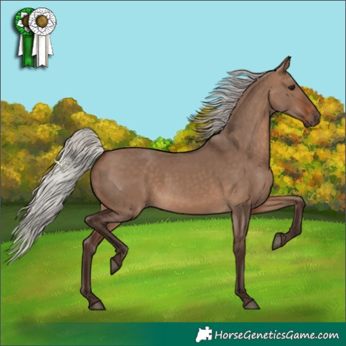 Horse Color:Silver Brown Dun 