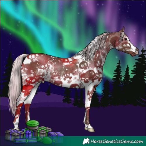 Horse Color:White Spotted Silver Black Sabino Rabicano 