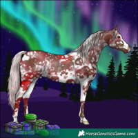 Horse Color:White Spotted Silver Black Sabino Rabicano