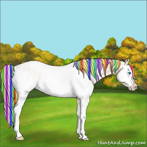 Horse Color:Painted White Spotted Chocolate Palomino Pearl Dun Splash Rabicano