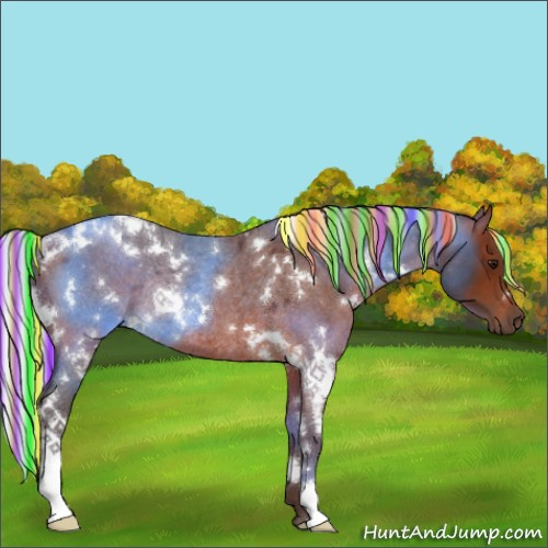 Horse Color:Painted White Spotted Silver Brown Roan Rabicano