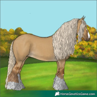 Horse Color:Chocolate Palomino Dun Rabicano 