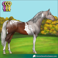 Horse Color:Silver Brown Tobiano 