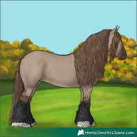 Horse Color:Liver Red Dun Rabicano
