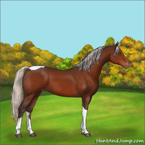 Horse Color:Silver Bay Tobiano Varnish 