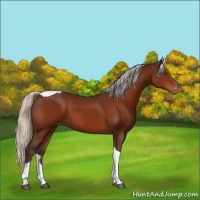 Horse Color:Silver Bay Tobiano Varnish 
