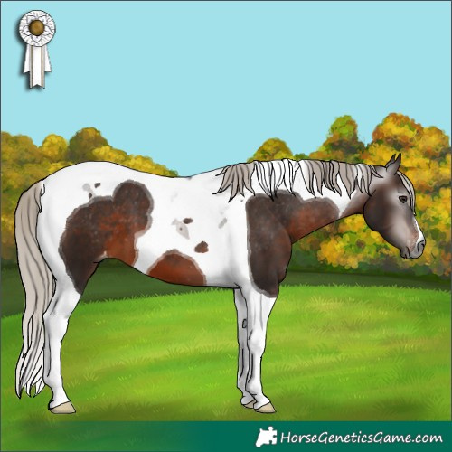 Horse Color:Gray Silver Brown Tobiano Varnish