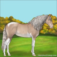 Horse Color:Silver Classic Champagne Tobiano 