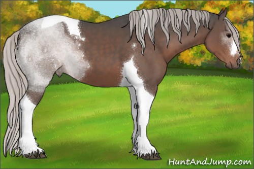 Horse Color:Silver Black Tobiano 