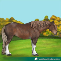 Horse Color:Liver Chestnut Tobiano 