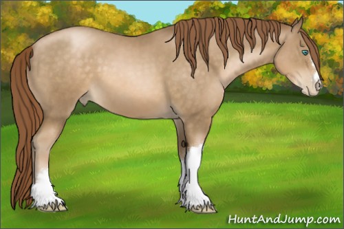 Horse Color:Smoky Black Pearl 