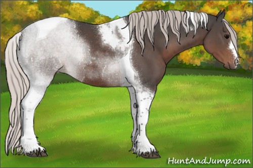 Horse Color:Silver Black Tobiano 