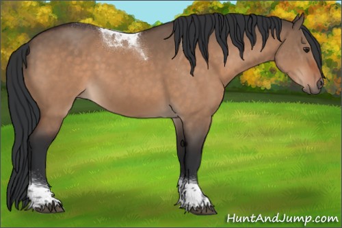 Horse Color:Brown Dun Tobiano Rabicano 