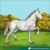 Horse Color:Chocolate Palomino Ice Sabino