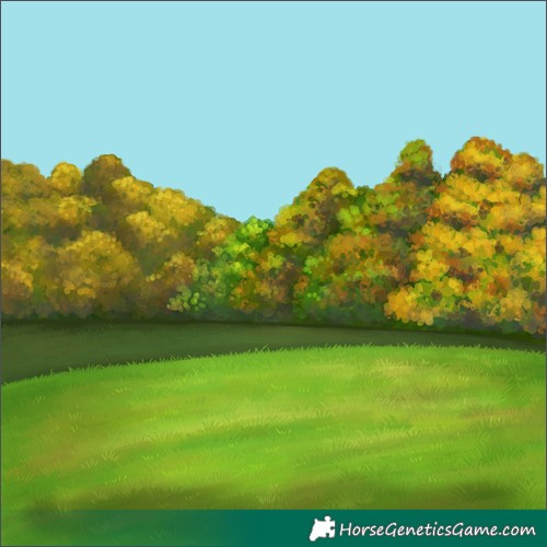 Horse Color:Liver Chestnut Ice Sabino 