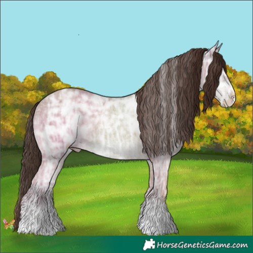 Horse Color:Classic Champagne Ice Sabino 