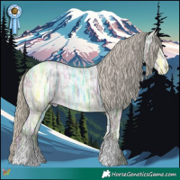 Horse Color:Silver Buckskin Ice Sabino 