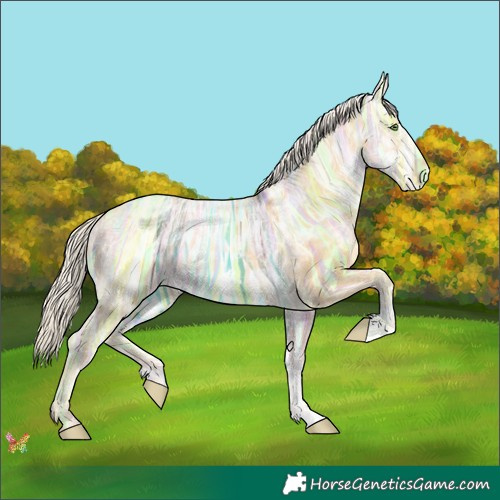 Horse Color:Silver Classic Cream Champagne Ice Dun Sabino