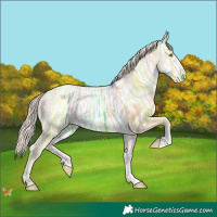 Horse Color:Silver Classic Cream Champagne Ice Dun Sabino 