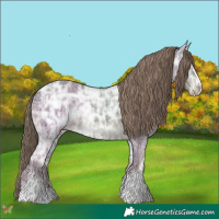 Horse Color:Liver Chestnut Ice Sabino 
