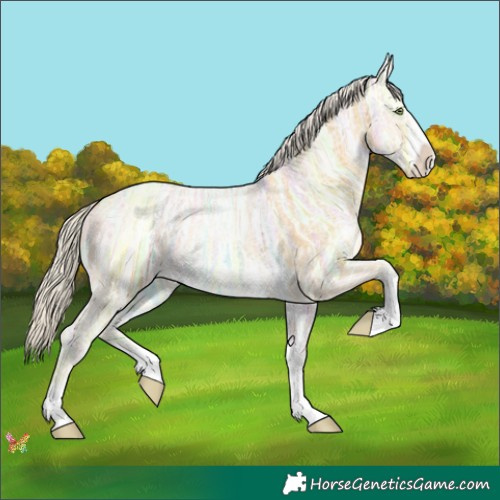 Horse Color:Silver Sable Cream Champagne Ice Sabino 