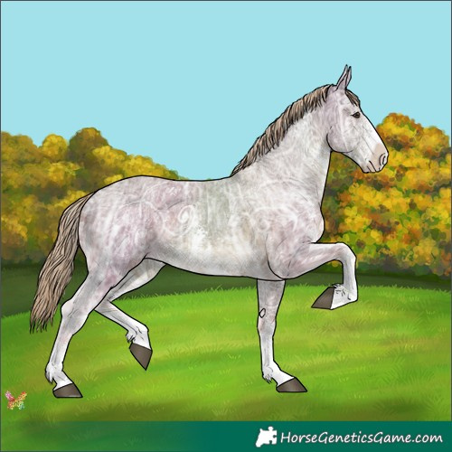 Horse Color:Chocolate Palomino Ice Sabino 