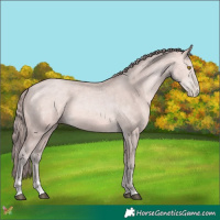 Horse Color:Platinum Bay Pearl 