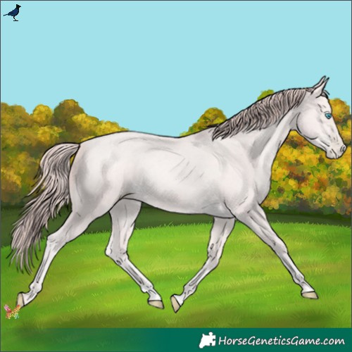 Horse Color:Platinum Buckskin Pearl