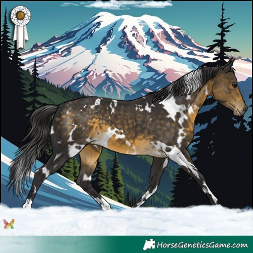 Horse Color:White Spotted Buckskin 