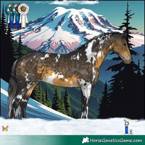 Horse Color:White Spotted Buckskin 