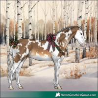Horse Color:White Spotted Chocolate Palomino Splash 