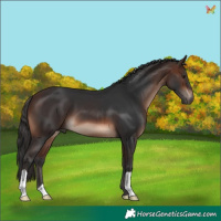 Horse Color:Brown Mushroom 
