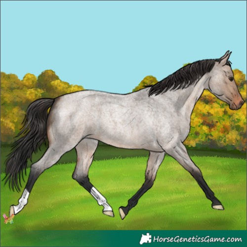 Horse Color:Brown Roan Dun Mushroom 