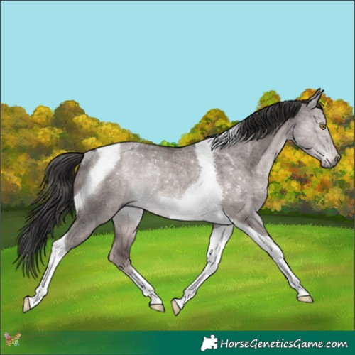 Horse Color:Platinum Liver Red Dun Tobiano Rabicano