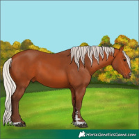 Horse Color:Silver Bay 